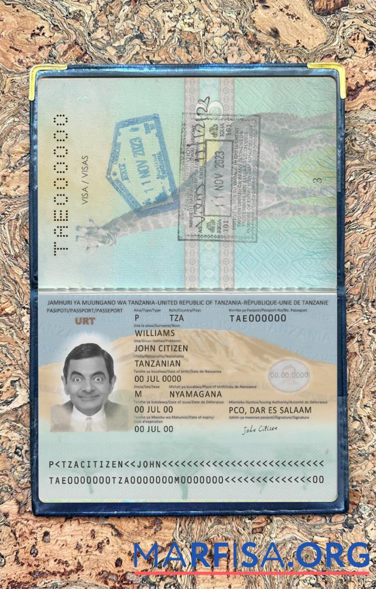 Downloadable Tanzania passport new 2019 present photolook download for verification